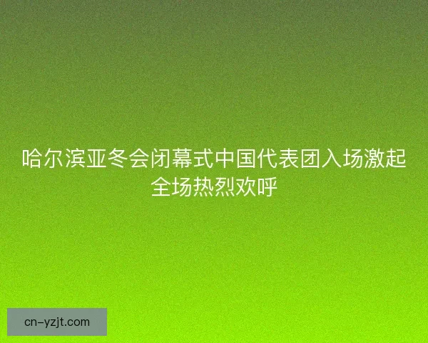 哈尔滨亚冬会闭幕式中国代表团入场激起全场热烈欢呼
