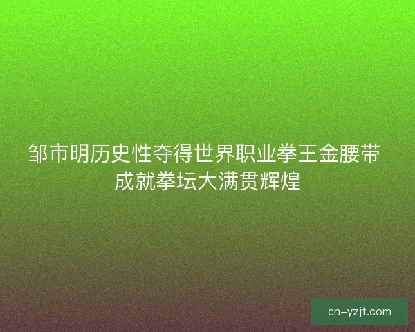 邹市明历史性夺得世界职业拳王金腰带 成就拳坛大满贯辉煌