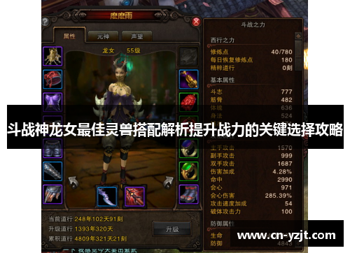斗战神龙女最佳灵兽搭配解析提升战力的关键选择攻略