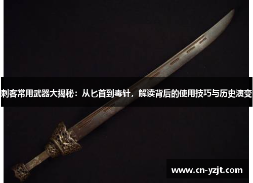 刺客常用武器大揭秘：从匕首到毒针，解读背后的使用技巧与历史演变
