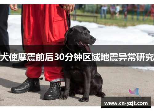 犬使摩震前后30分钟区域地震异常研究