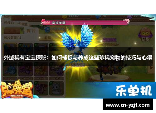 外域稀有宝宝探秘：如何捕捉与养成这些珍稀宠物的技巧与心得