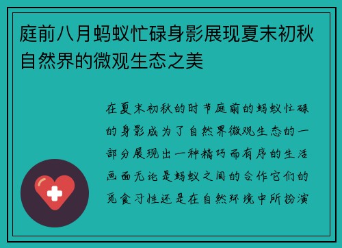 庭前八月蚂蚁忙碌身影展现夏末初秋自然界的微观生态之美